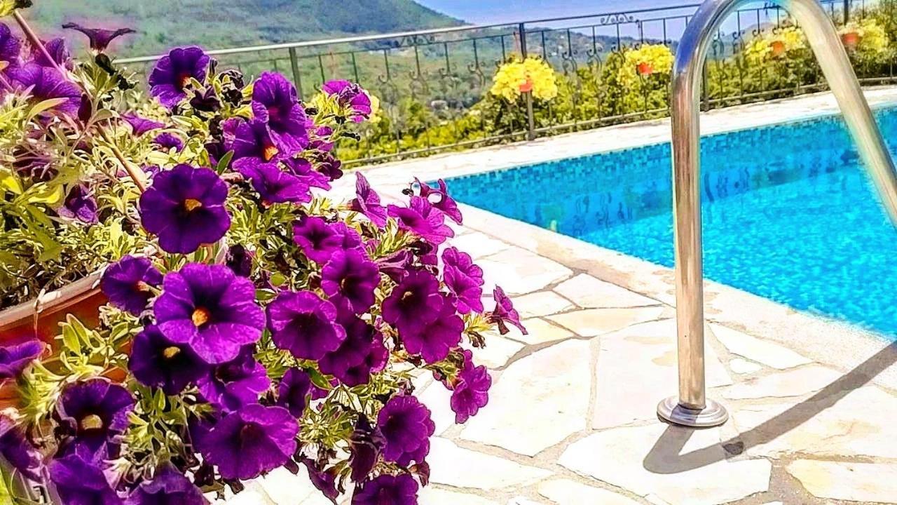 Apartmani Dumezic 바르 객실 사진