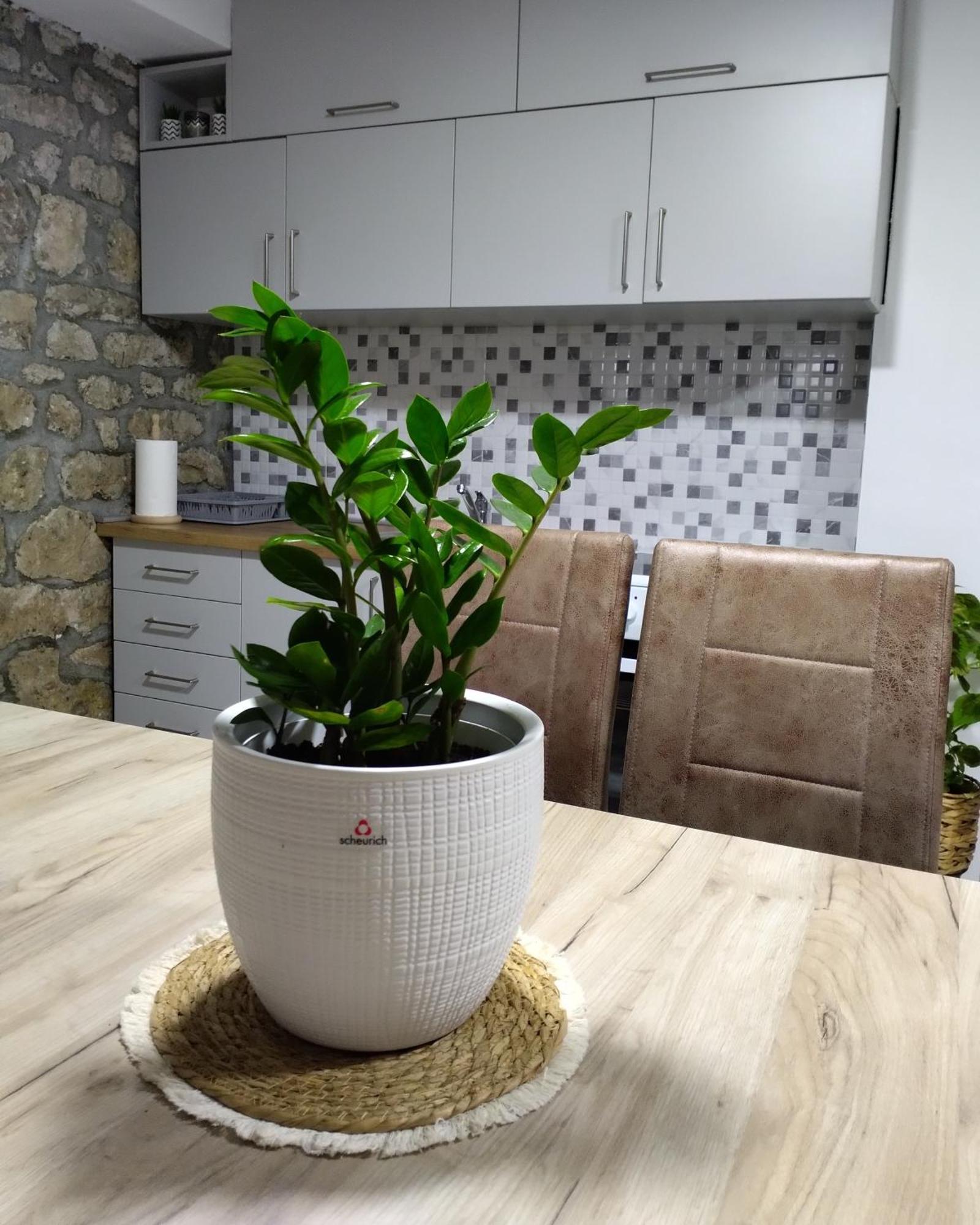 Apartmani Dumezic 바르 객실 사진